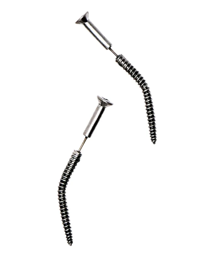 Screw Earrings