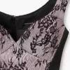Sculpted Lace Shadow Dress