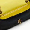 The Dual Chain Mini Bag The Dual Chain Mini Bag