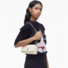 The Dual Chain Mini Bag The Dual Chain Mini Bag