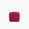 The Everyday Mini Vanity Bag The Everyday Mini Vanity Bag