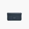 The Leather Mini Bag The Leather Mini Bag