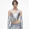 The Metallic Snapshot Dtm The Metallic Snapshot Dtm